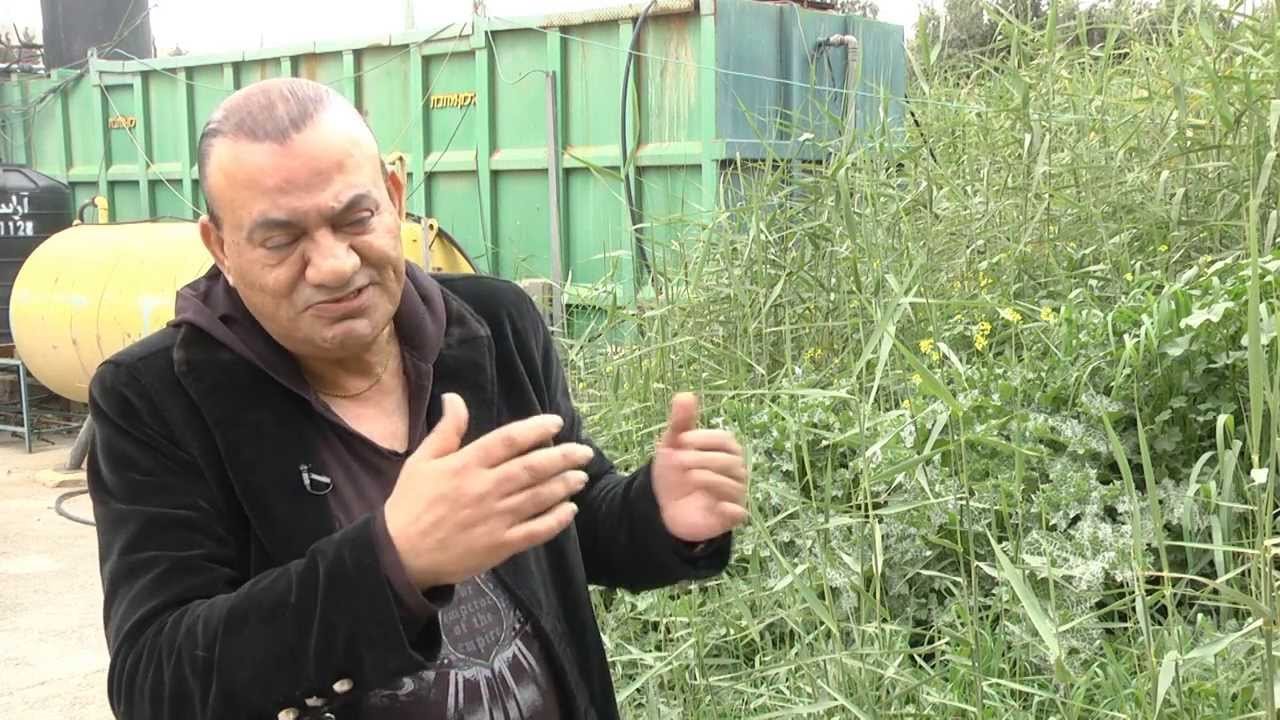باحث متقن في علم الأدوية والصيدلانيات