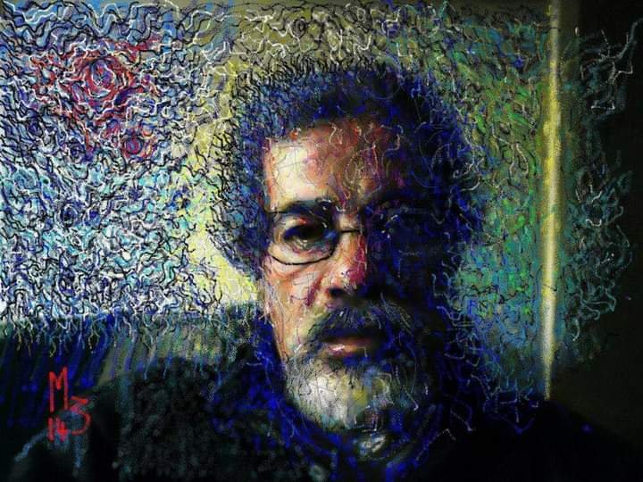 محمود زايد